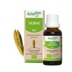 Herbalgem Macérat Viorne Bio Flacon de 30ml