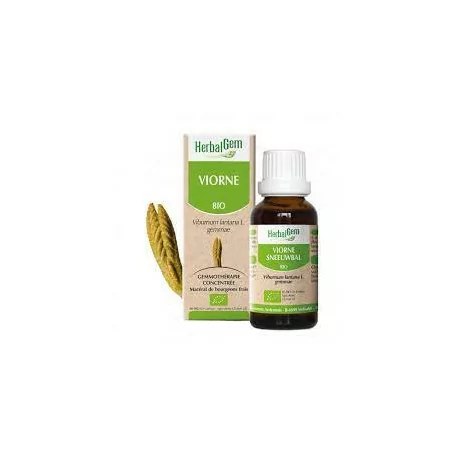 Herbalgem Macérat Viorne Bio Flacon de 30ml