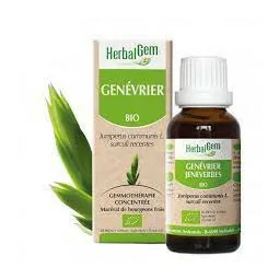 Herbalgem Macérat Genévrier Bio Flacon de 30ml