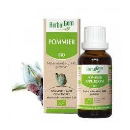 Herbalgem Macérat Pommier Bio Flacon de 30ml