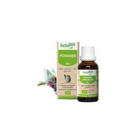 Herbalgem Macérat Pommier Bio Flacon de 30ml