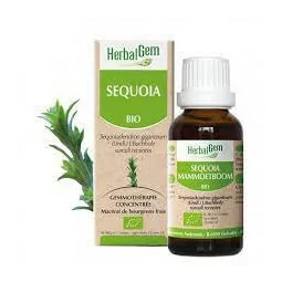 Herbalgem Macérat Sequoia Bio Flacon de 30ml
