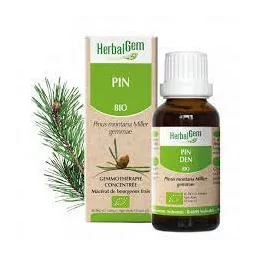 Herbalgem Macérat Pin Bio Flacon de 30ml