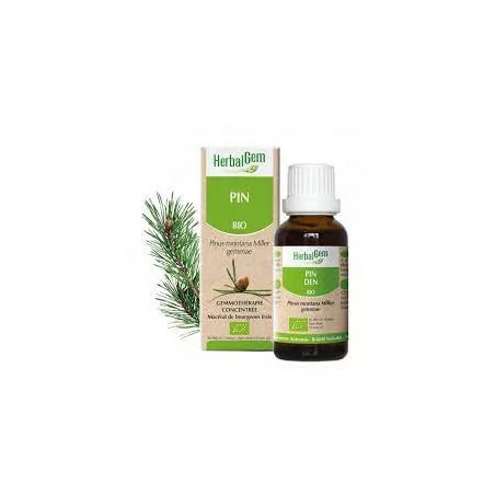 Herbalgem Macérat Pin Bio Flacon de 30ml