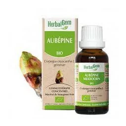 Herbalgem Macerat M Conc...