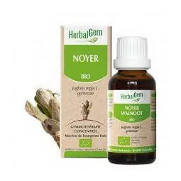 Herbalgem Macérat Noyer Bio Flacon de 30ml
