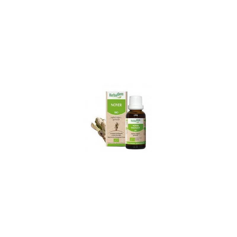 Herbalgem Macérat Noyer Bio Flacon de 30ml