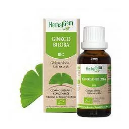 Herbalgem Macerat M Conc...