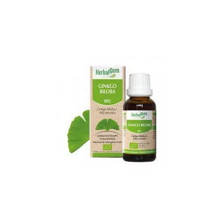 Herbalgem Macérat Ginkgo Bio Flacon de 30ml