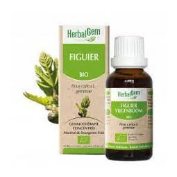 Herbalgem Macerat Mères Concentrés Figuier 30ml