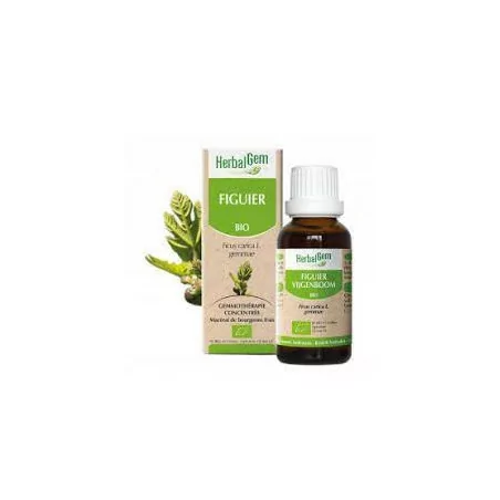 Herbalgem Macerat Mères Concentrés Figuier 30ml