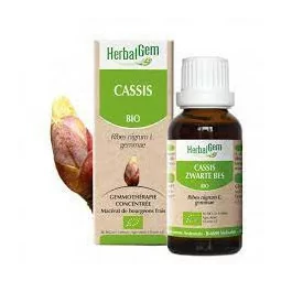 Herbalgem Macerat M Conc...