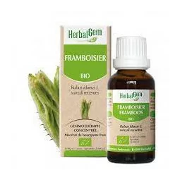 Herbalgem Macerat M Conc...