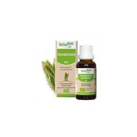 Herbalgem Macérat Framboisier Bio Flacon de 30ml