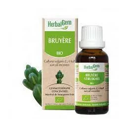 Herbalgem Macérat Mères Concentrés Bruyère flacon de 30ml