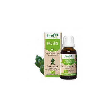 Herbalgem Macérat Mères Concentrés Bruyère flacon de 30ml