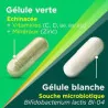 Berocca immunité défense