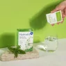 Hydratis Menthe réhydratation sachets 16 Parapharmelle