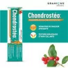 Chondrosteo+ Gel Mass Tb100ml1
