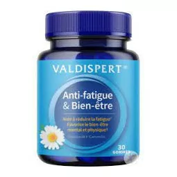 Valdispert Anti fatigue Vitalité