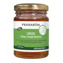 Pranarom Grog Voies...