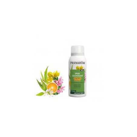 Pranarom Aromaforce Spray Assainissant Orange 75ml
