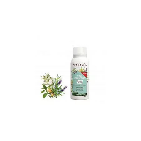 Pranarom Aromaforce Assainissant Bio Ravintsara 75ml