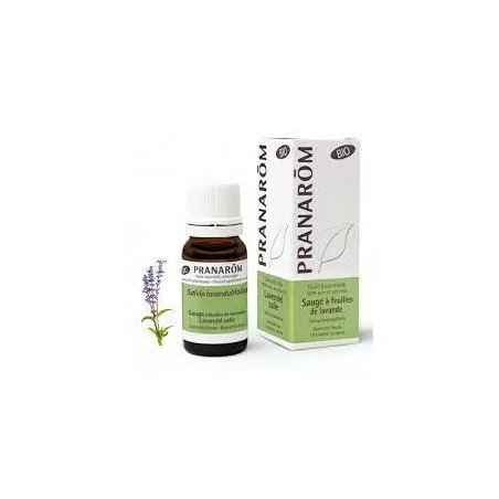 Prânarom Huile essentielle Sauge A Feuilles De Lavande Bio