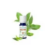 Puressentiel Huile essentielle Basilic Bio