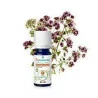 Puressentiel Exp Hle Ess Bio Marjolaine 5
