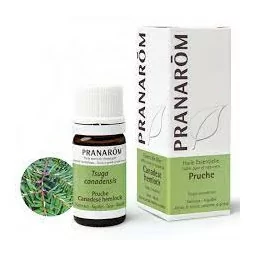 Prânarom huile essentielle Pruche