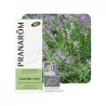 Prânarom Huile Essentielle Bio Lavande Vraie