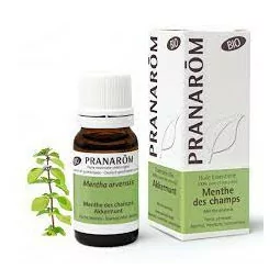 Prânarom Huile Essentielle Menthe Champs 10ml