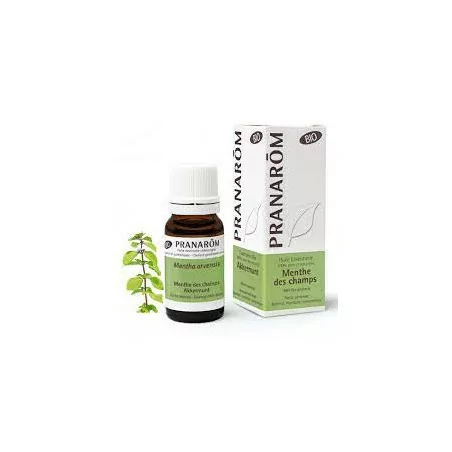 Prânarom Huile Essentielle Menthe Champs 10ml