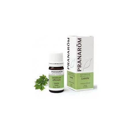 Prânarom huile essentielle livèche