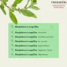 Pranarom Hle Ess Marjolaine Fl/5ml