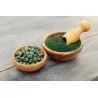 Prânarom Mc-Algues Spiruline 500mg B/150