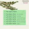 Pranarom Nat He Thym Vulg A Thymol 10ml