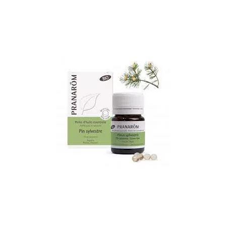 Pranarom huile essentielle Bio sapin de Sibérie perles