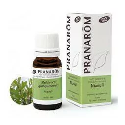 Pranarôm Niaouli Bio Huile Essentielle Melaleuca quinquenervia Feuille HECT 10 ml