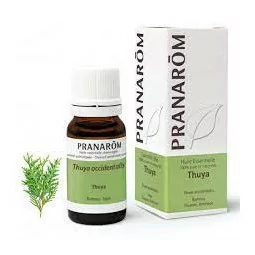 Pranarom H E Thuya Rameau 10ml