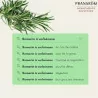 Pranarom Hle Ess Bio Romar Verb Fl/5ml