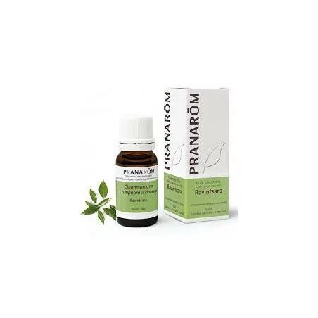 Pranarom Huile Essentielle Ravintsara