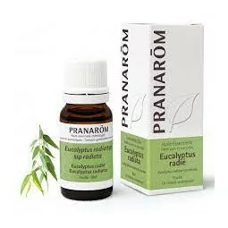 Pranarom Huile Essentielle Eucalyptus Radié