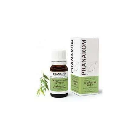 Pranarom Huile Essentielle Eucalyptus Radié