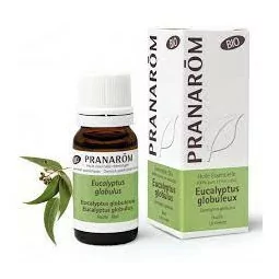 Pranarom Huile Essentielle Bio Eucalyptus Globuleux