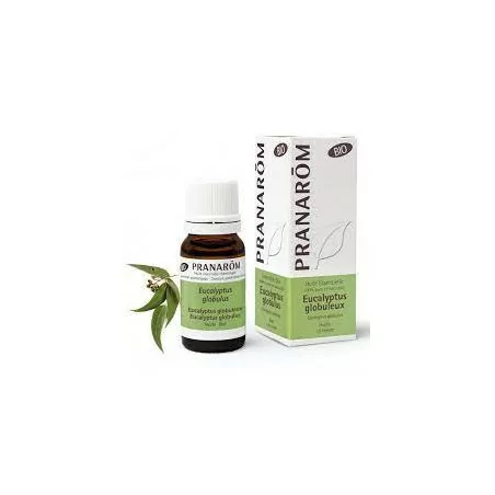 Pranarom Huile Essentielle Bio Eucalyptus Globuleux