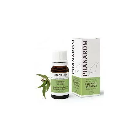 Pranarom Huile Essentielle Eucalyptus Globuleux