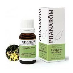 Pranarom huile essentielle Eucalyptus Mentholé