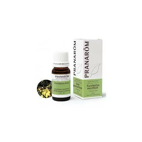 Pranarom huile essentielle Eucalyptus Mentholé